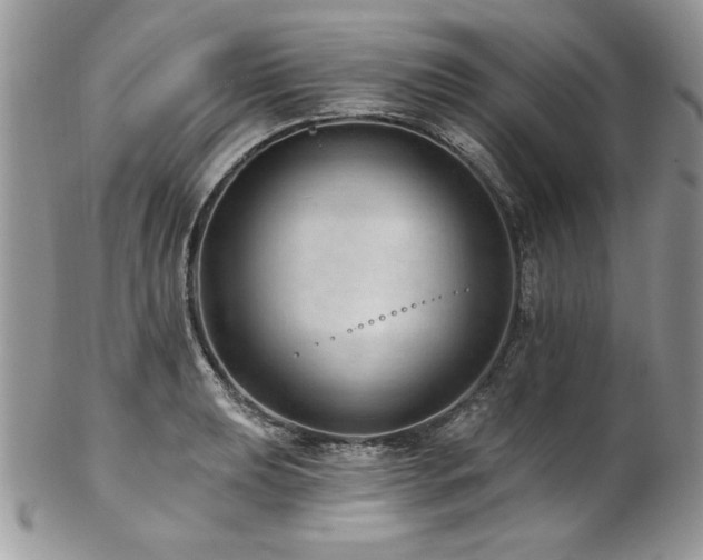 X0000102821039200808181241