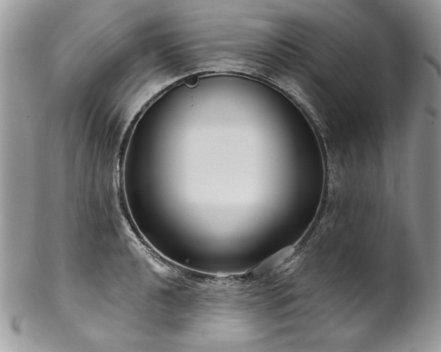 X0000102821040200808181241