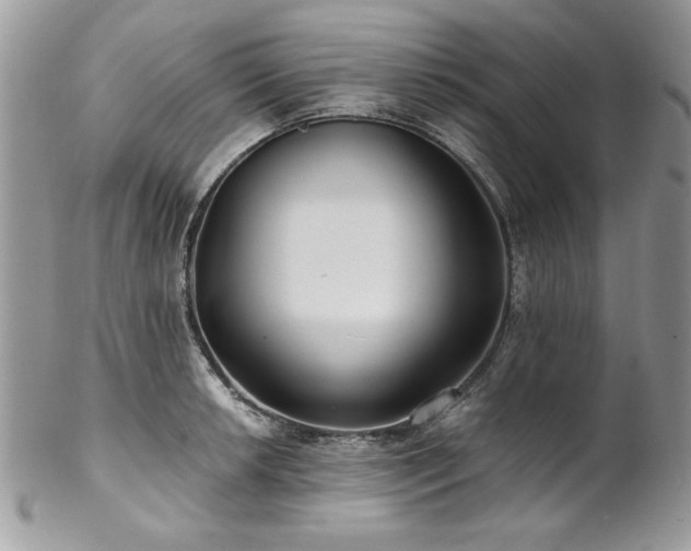 X0000102821042200808181241