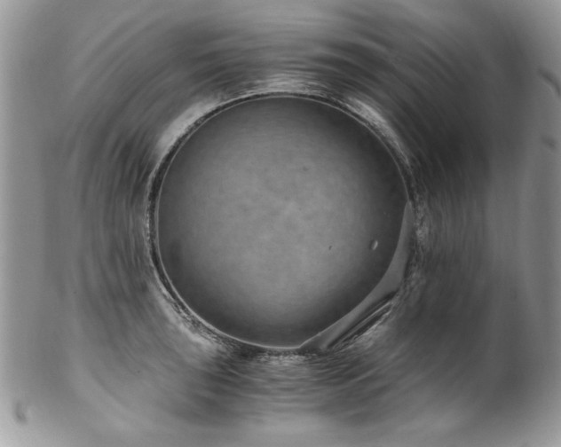 X0000102821043200808181241
