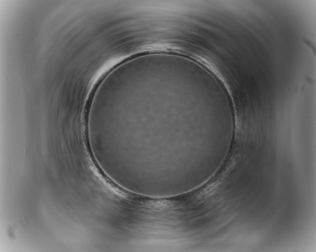 X0000102821045200808181241