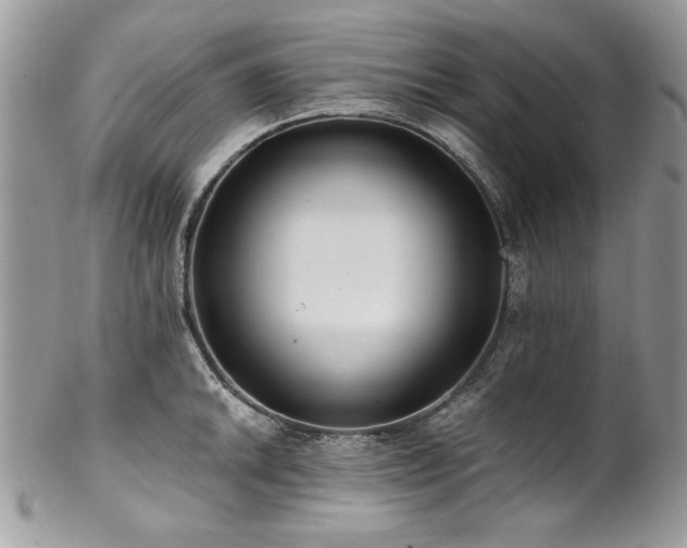 X0000102821046200808181241