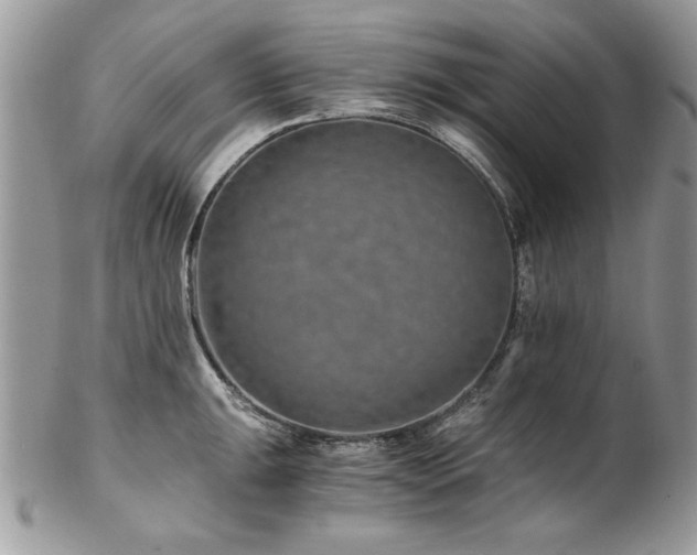 X0000102821047200808181241