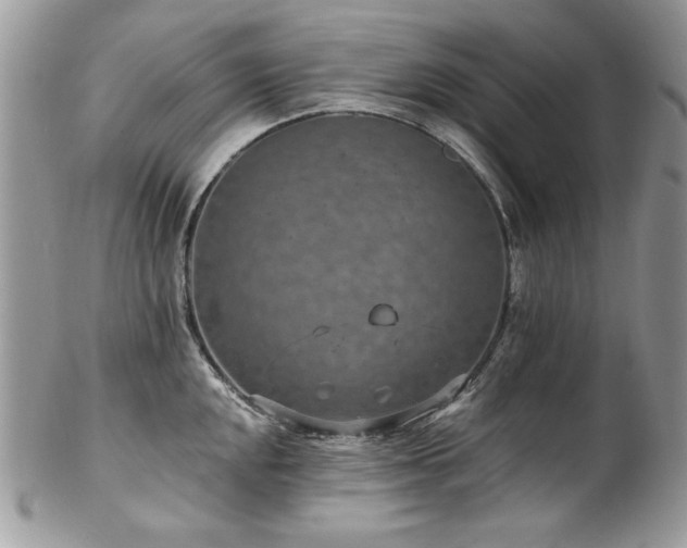 X0000102821048200808181241