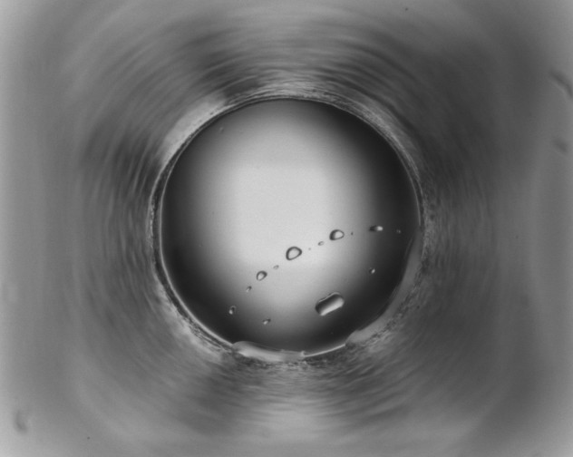 X0000102821050200808181241