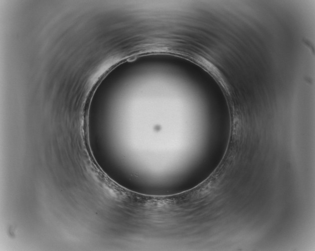 X0000102821051200808181241