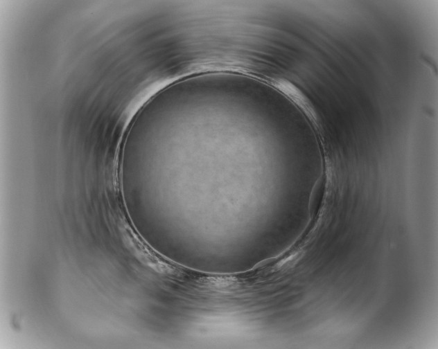 X0000102821052200808181241