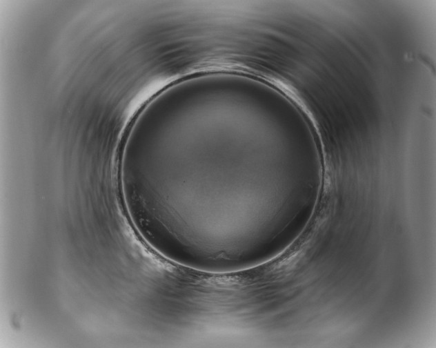 X0000102821053200808181241