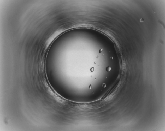 X0000102821054200808181242