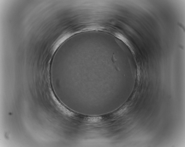 X0000102821055200808181242