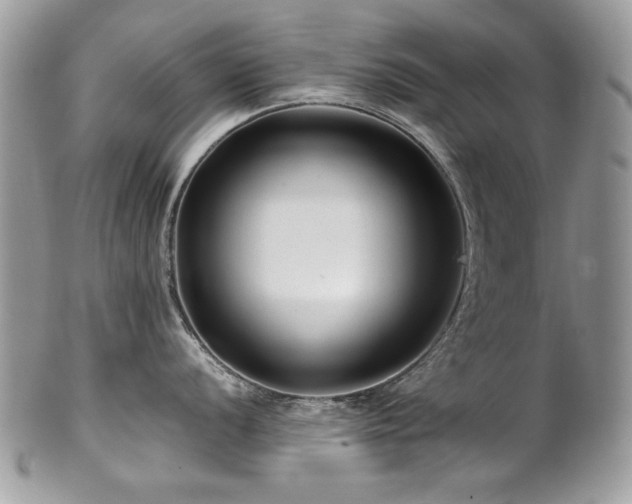 X0000102821056200808181242