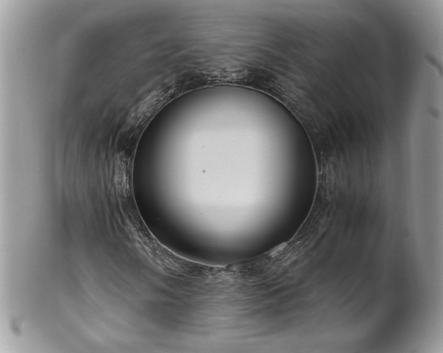 X0000102821058200808181241