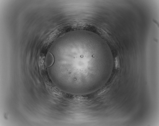 X0000102821059200808181241