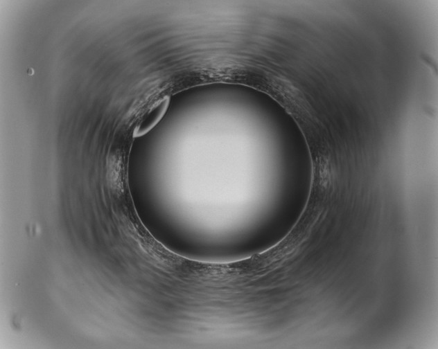 X0000102821060200808181241