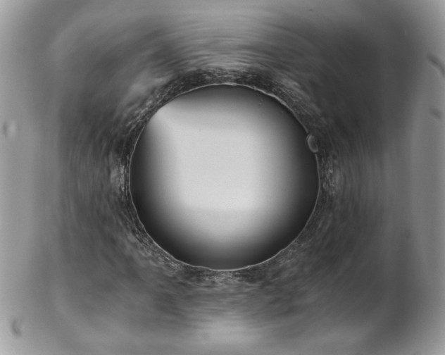 X0000102821061200808181241