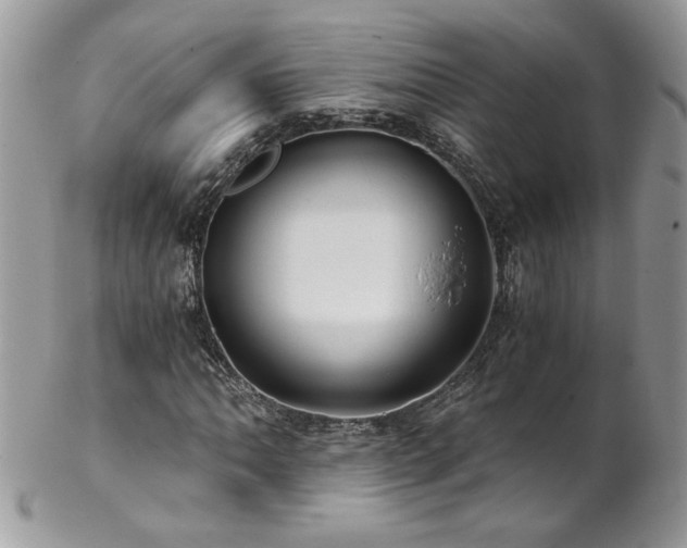 X0000102821062200808181241