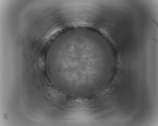 X0000102821063200808181241