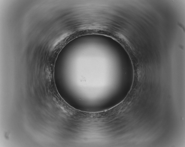 X0000102821064200808181241