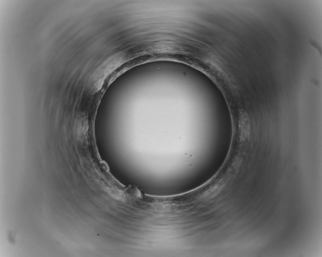 X0000102821065200808181241
