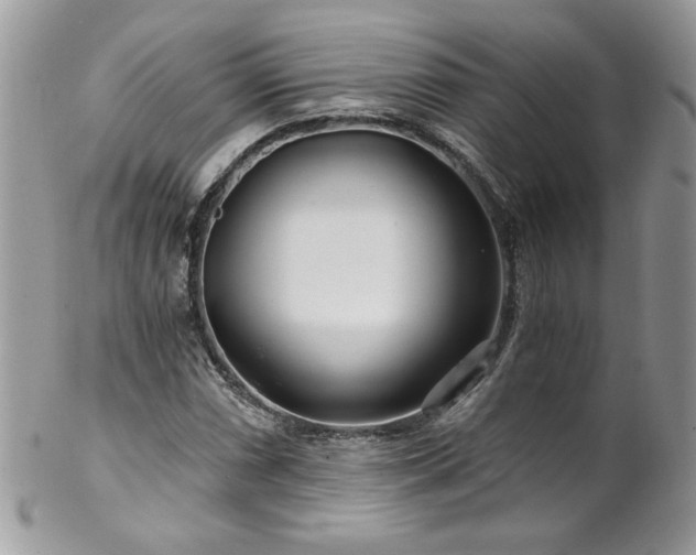 X0000102821066200808181241