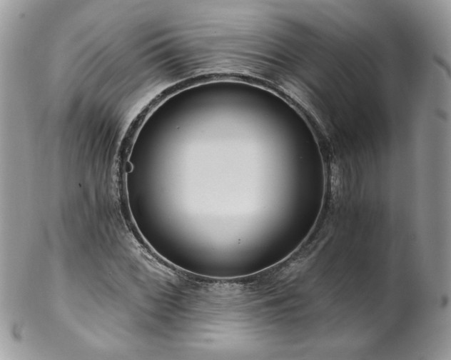 X0000102821068200808181241