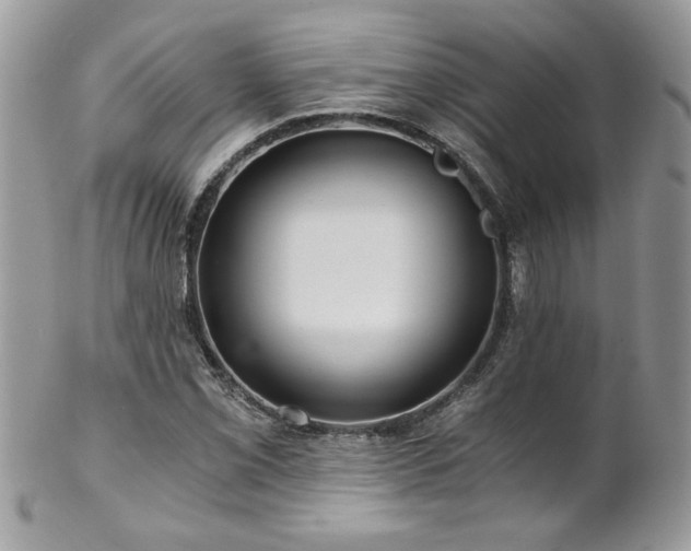 X0000102821069200808181241