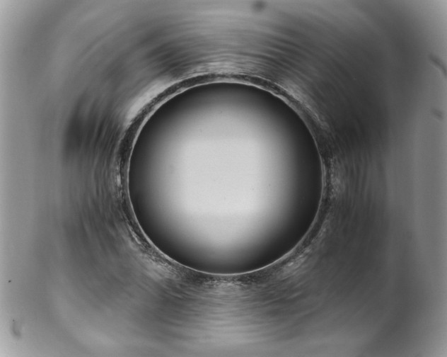 X0000102821070200808181241