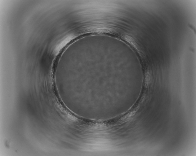 X0000102821071200808181241