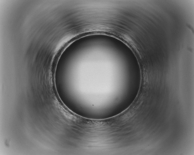 X0000102821072200808181241