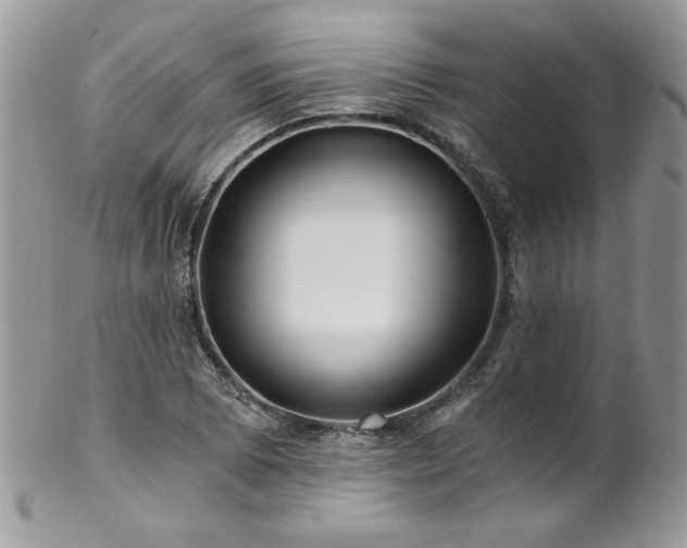 X0000102821073200808181241