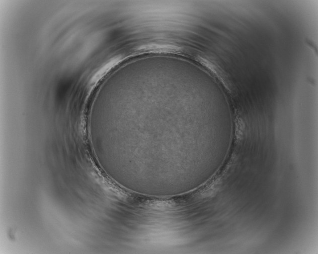 X0000102821074200808181241