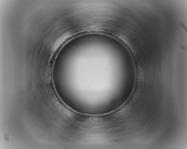 X0000102821075200808181241