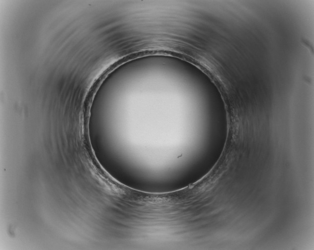 X0000102821076200808181241