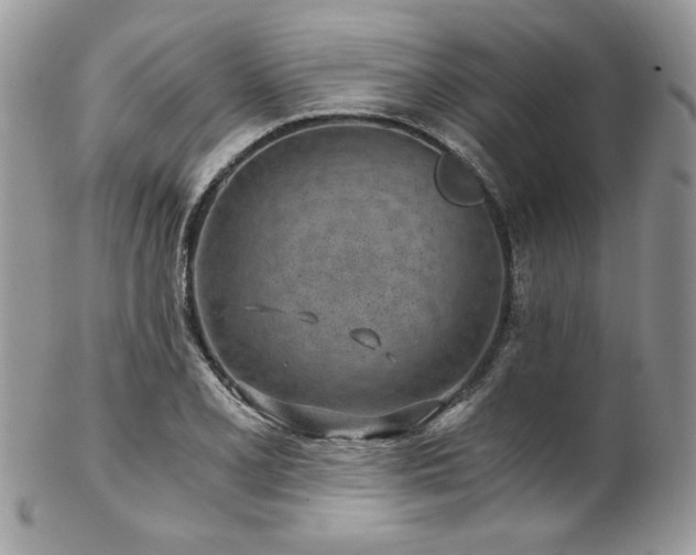 X0000102821077200808181241