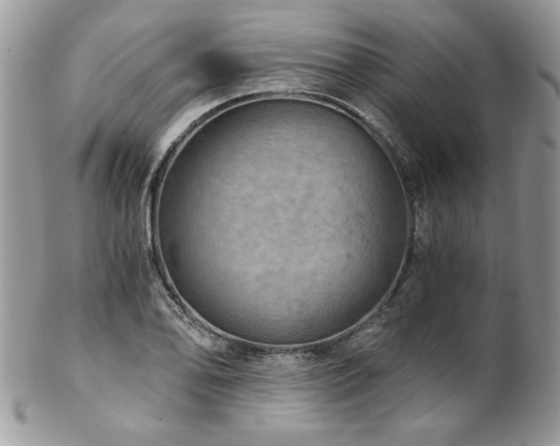 X0000102821078200808181241