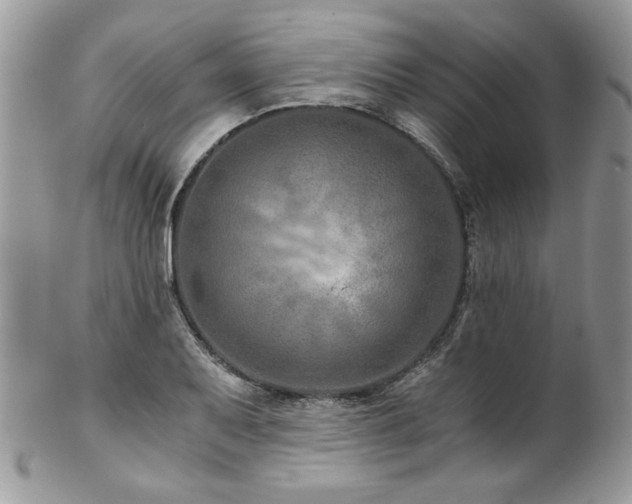 X0000102821079200808181241