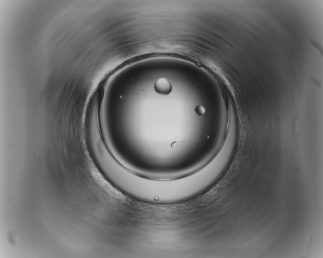 X0000102821080200808181240