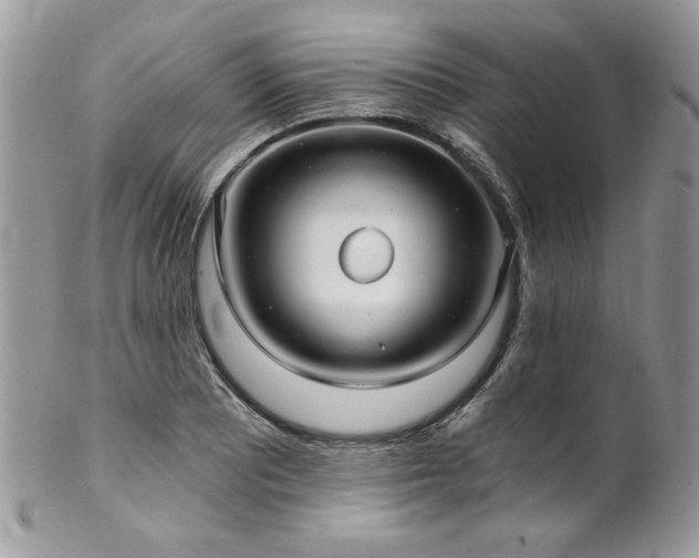 X0000102821081200808181240