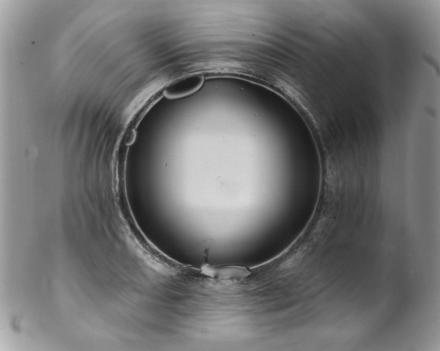 X0000102821082200808181240