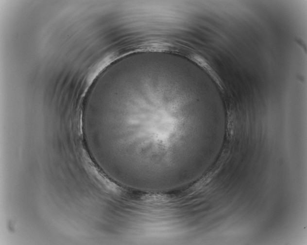 X0000102821083200808181240