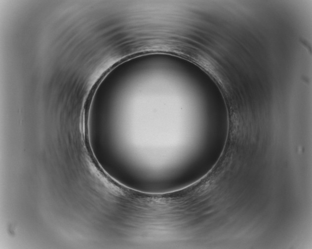 X0000102821084200808181240