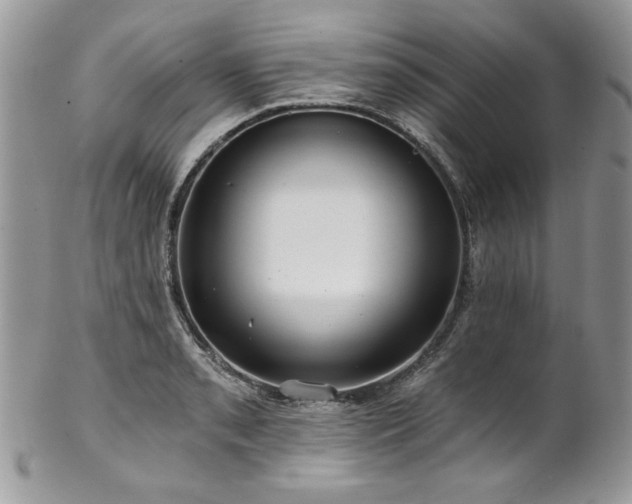 X0000102821085200808181240