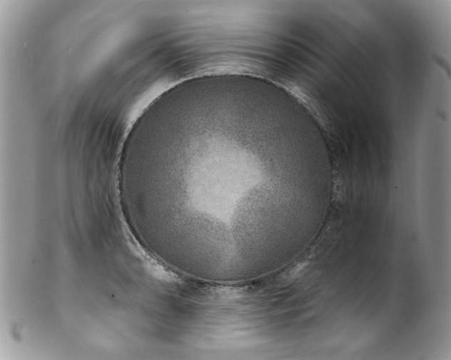 X0000102821086200808181240