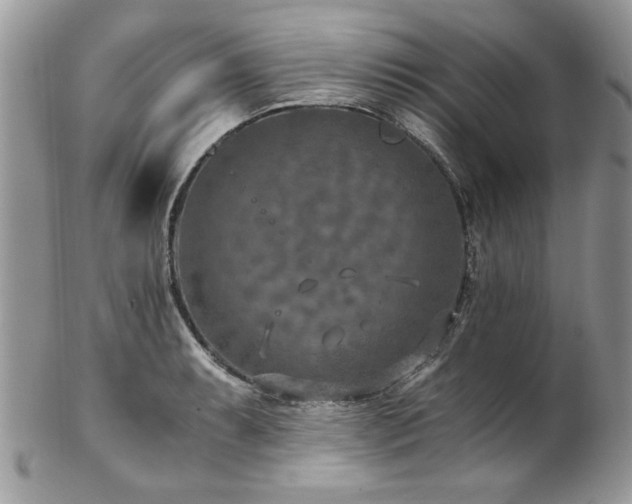 X0000102821087200808181240