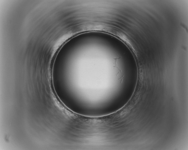 X0000102821088200808181240