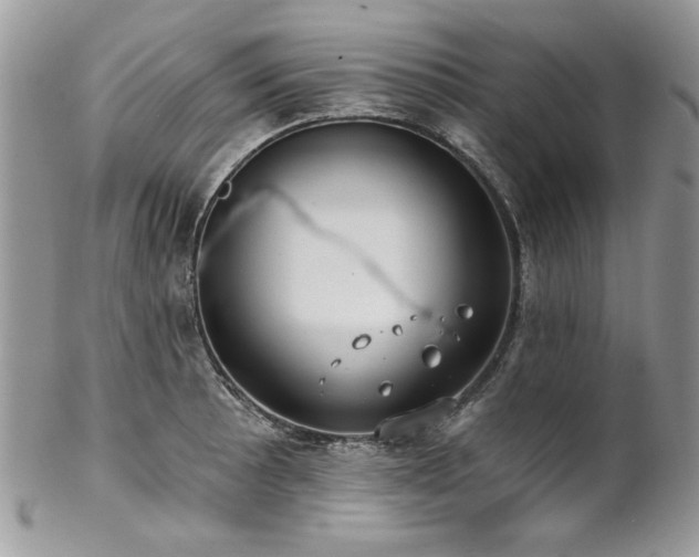 X0000102821089200808181240