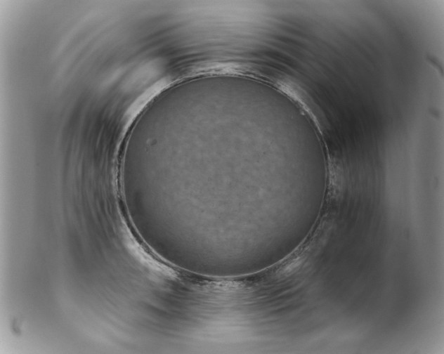 X0000102821090200808181240