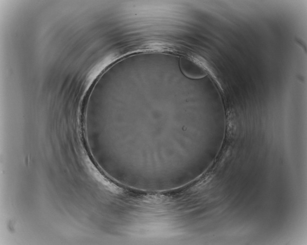 X0000102821091200808181240