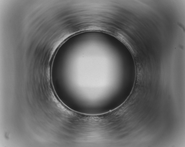 X0000102821092200808181240