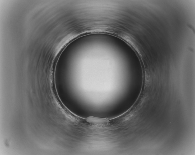 X0000102821093200808181240
